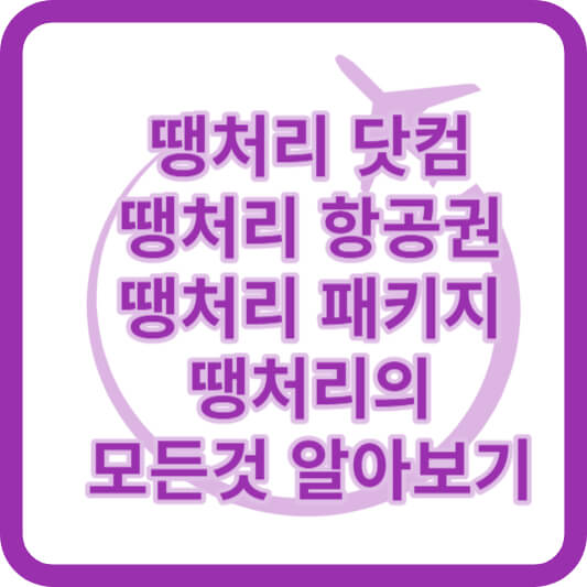 떙처리항공권_패키지_검색방법_예약팁