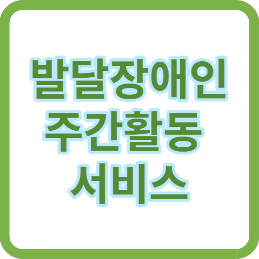 발달장애인 주간활동 서비스