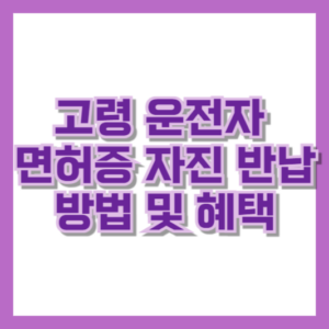 고령 운전자 면허증 자진 반납 방법 및 혜택