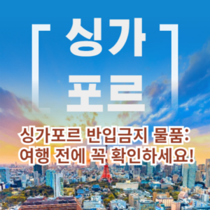 싱가포르 반입금지 물품: 여행 전에 꼭 확인하세요!