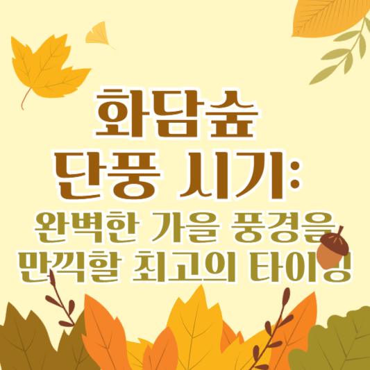 화담숲 단풍 시기: 완벽한 가을 풍경을 만끽할 최고의 타이밍