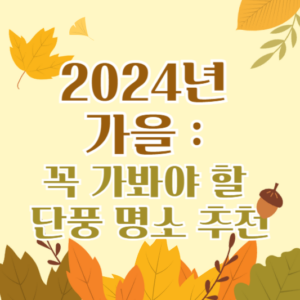 2024년 가을, 꼭 가봐야 할 단풍 명소 추천