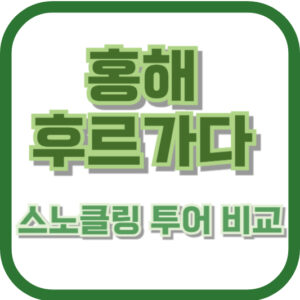 홍해 후르가다 스노클링 투어 비교