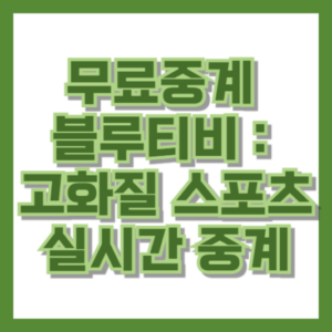 무료중계 블루티비 - 고화질 스포츠 실시간 중계