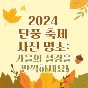 2024 단풍축제 사진 명소