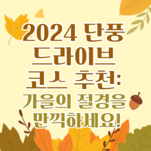 2024 단풍 드라이브 코스 추천