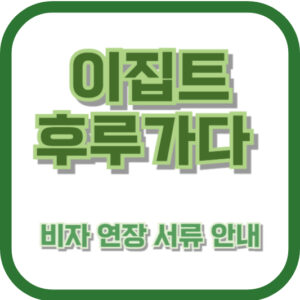 후루가다에서 비자 연장 서류 안내