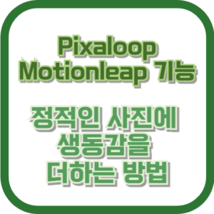 Pixaloop Motionleap 기능: 정적인 사진에 생동감을 더하는 방법