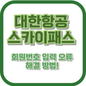 대한항공 스카이패스 회원번호 입력 오류 해결 방법! 