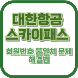 대한항공 스카이패스 회원번호 불일치 문제 해결법