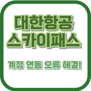 스카이패스 계정 연동 오류 해결