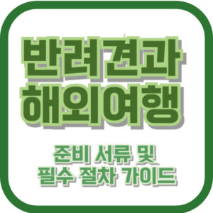 반려견과 해외여행 준비 서류 및 필수 절차 가이드