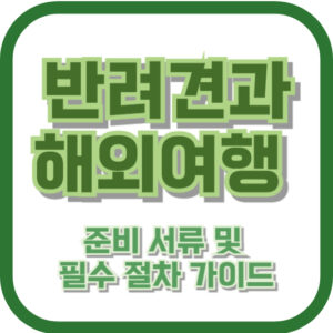 반려견과 해외여행 준비 서류 및 필수 절차 가이드