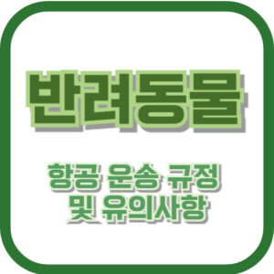 반려동물 항공 운송 규정 및 유의사항