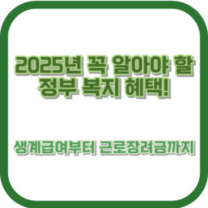 2025년 꼭 알아야 할 정부 복지 혜택! 생계급여부터 근로장려금까지