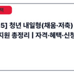 [2025] 청년 내일형(채움·저축) 장기 적립 지원 총정리 | 자격·혜택·신청방법