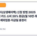 상생페이(상생페이백) 신청 방법 2025 | 9–11월 카드 소비 20% 환급(월 10만·최대 30만) 사용처·제외업종·지급일 총정리