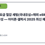듀얼심 요금 절감 세팅(국내유심+해외 eSIM) 10분 완성 — 아이폰·갤럭시 2025 최신 체크리스트