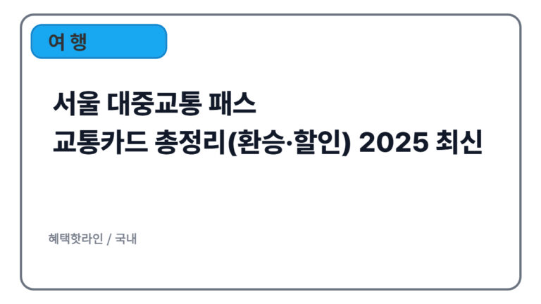 서울 대중교통 패스/교통카드 총정리(환승·할인) 2025 최신