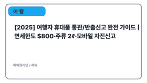 [2025] 여행자 휴대품 통관/반출신고 완전 가이드 | 면세한도 $800·주류 2ℓ·모바일 자진신고
