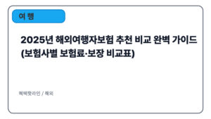 2025년 해외여행자보험 추천 비교 완벽 가이드 (보험사별 보험료·보장 비교표)