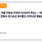 정부 공공 겨울 지원금 모아보기(2025 최신) — 에너지바우처·긴급복지 연료비·전기요금 복지할인·지역난방 특별요금